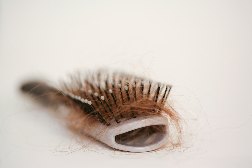 Hairbrush with strands of auburn hair stuck in it
